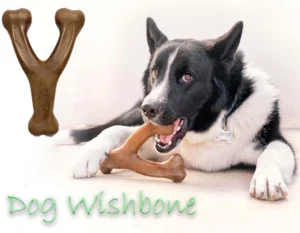 Dog Wishbone