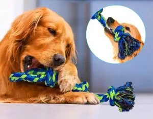 dog rope toy