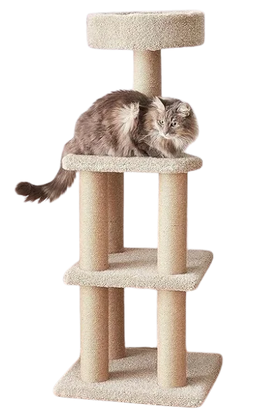 Cat Tree
