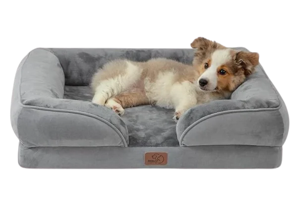 Dog sofa bed
